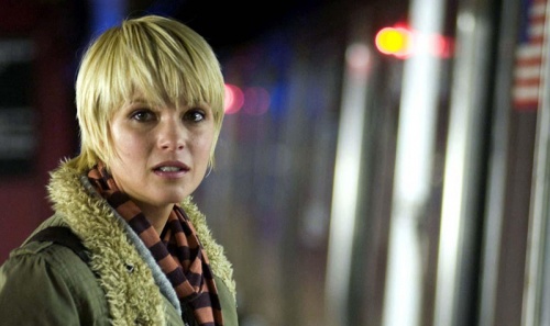 Perfect Stranger - Nicki Aycox