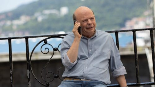 Rifkin's Festival - Wallace Shawn