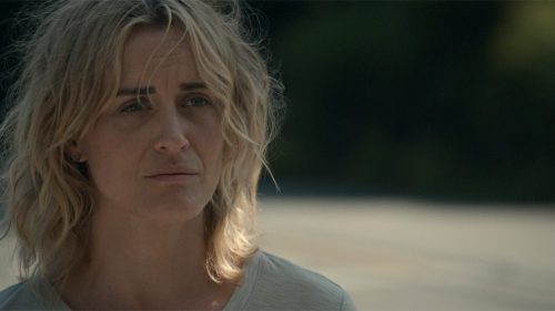 Dear Edward - Taylor Schilling