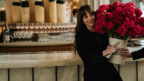 Materialists - Dakota Johnson